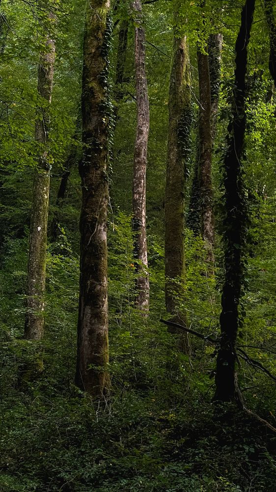 Photograph by Марина Скворцова