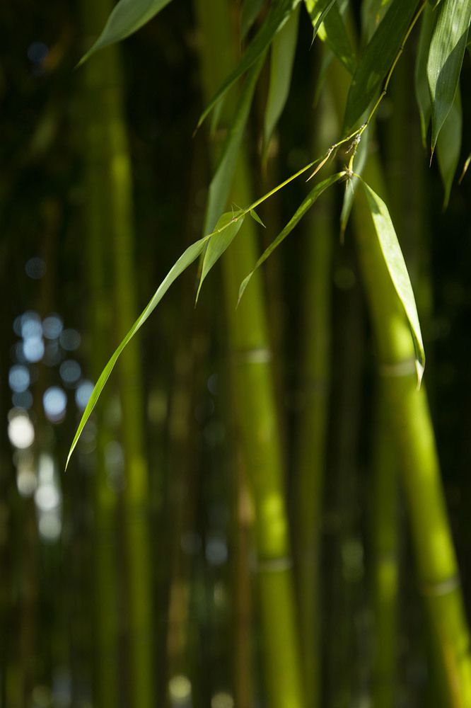 Photograph by Екатерина Сахно