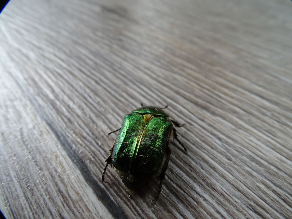 Photograph by Марина Мишина