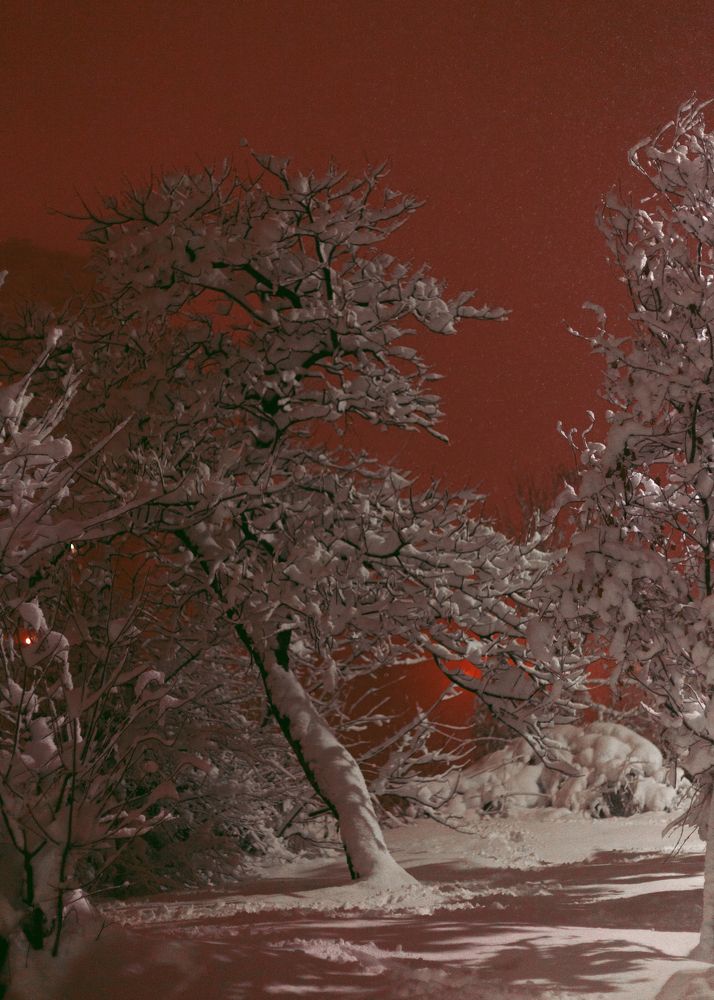 Photograph by Ангелина Журавлева