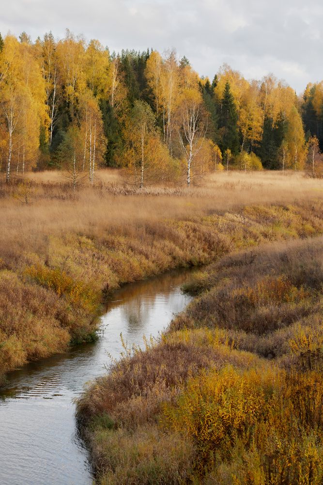 Photograph by Дарья Сергеева
