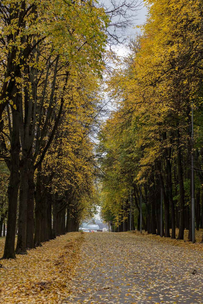 Photograph by Екатерина Богдасарова