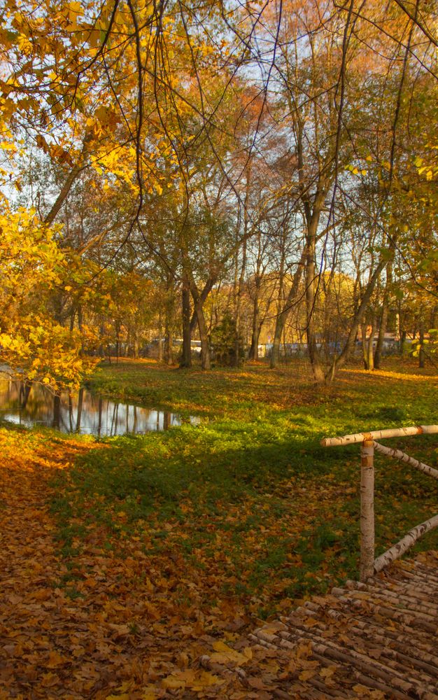 Photograph by Владислав Петрусев