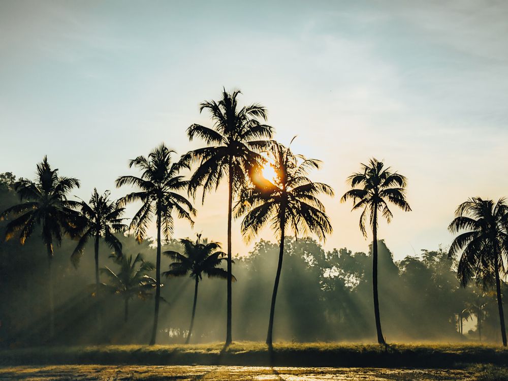 Фотография автора Rajesh R Kurup