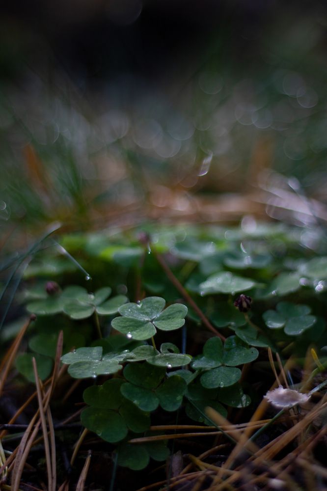 Photograph by Анастасия Гасанова