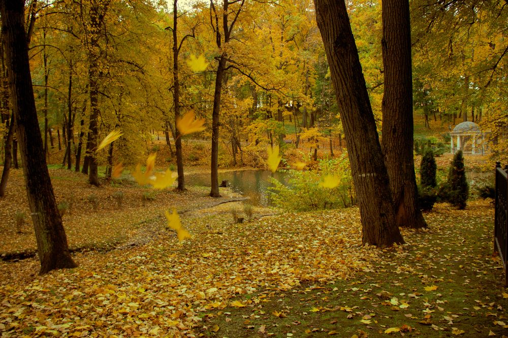 Photograph by Владислав Петрусев