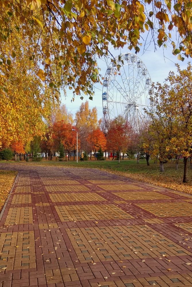 Photograph by Омильянчук Анна