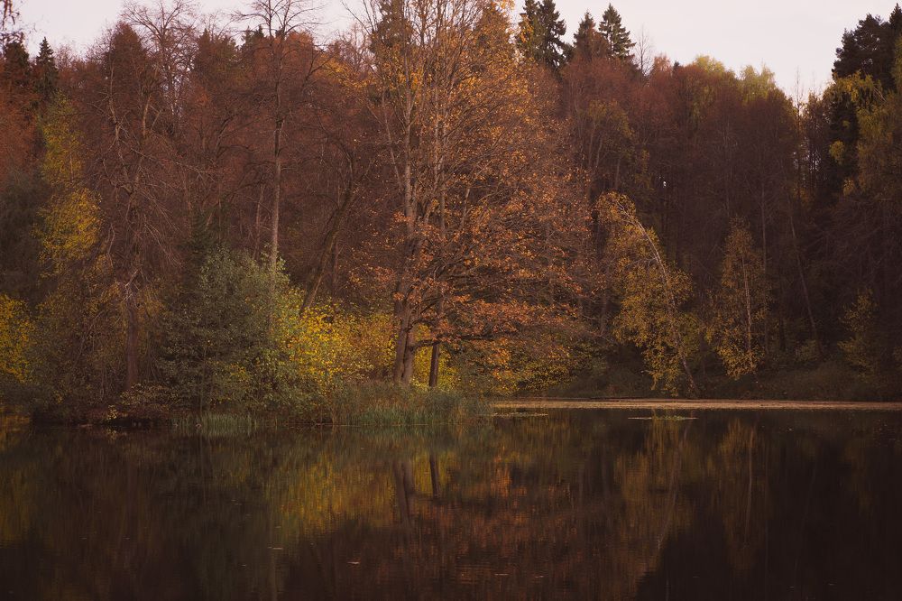 Photograph by Татьяна Дмитриева