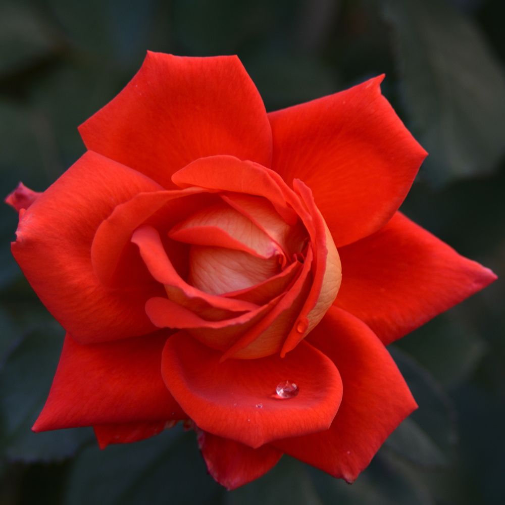 Фотография автора Алексей Батюков