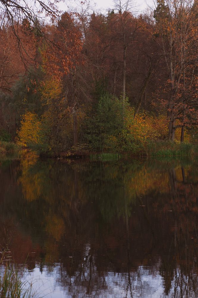 Photograph by Татьяна Дмитриева