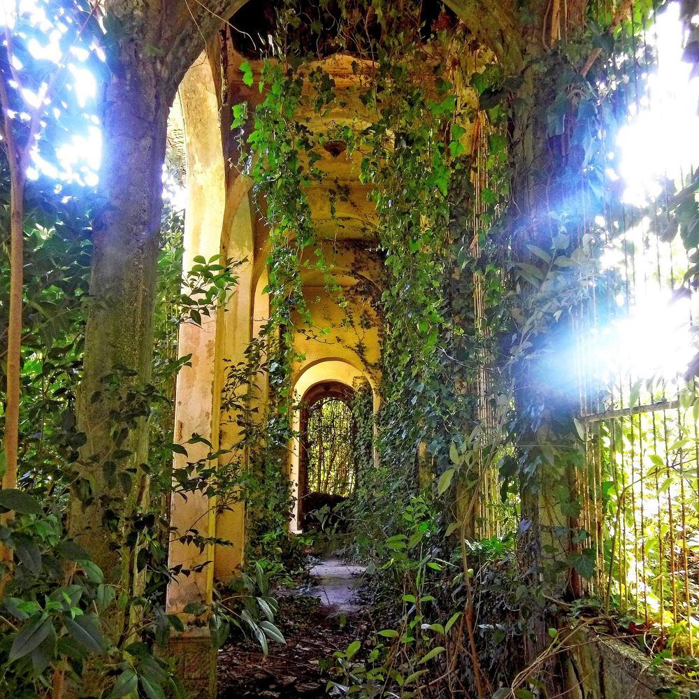 Photograph by ДанКо Натали