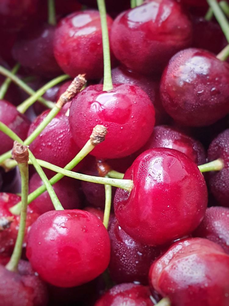 Photograph by Екатерина Сахно