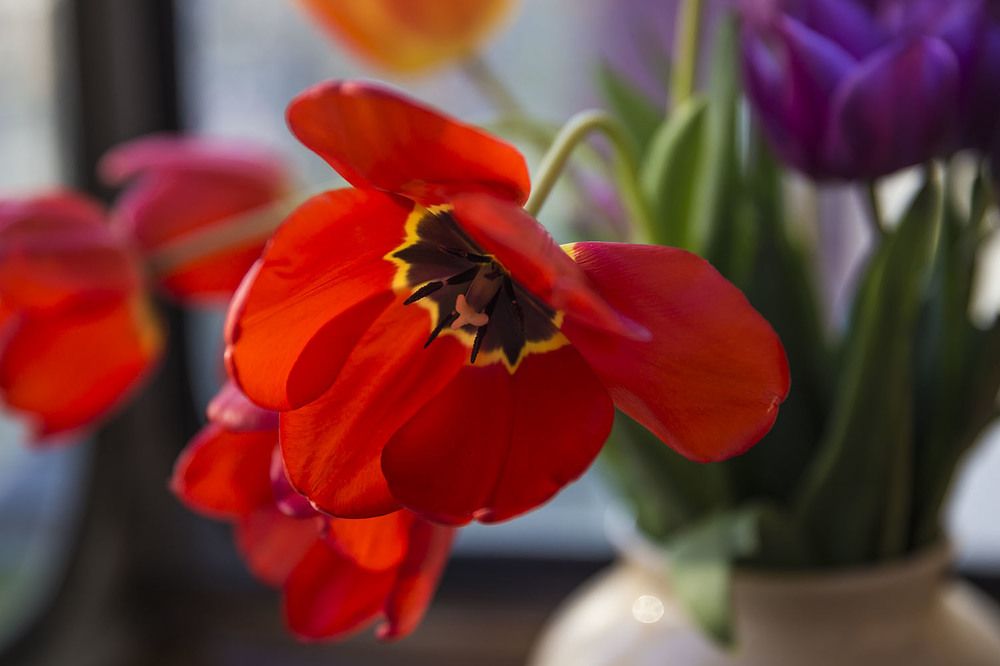 Photograph by Екатерина Сахно