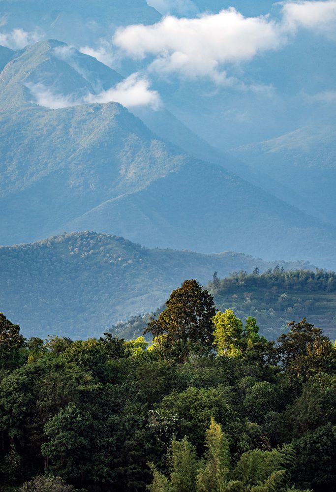 Фотография автора Sajeev Krishnan