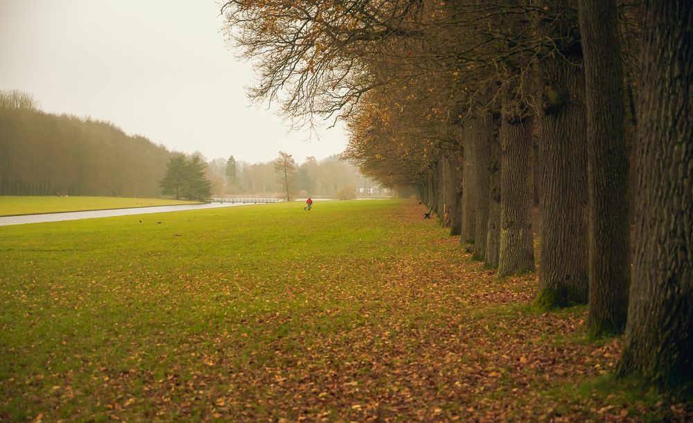 Photograph by Bernardo Lorena Ponte