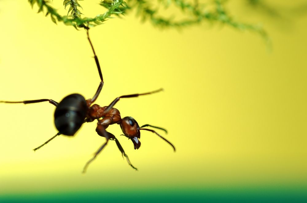 В пространстве