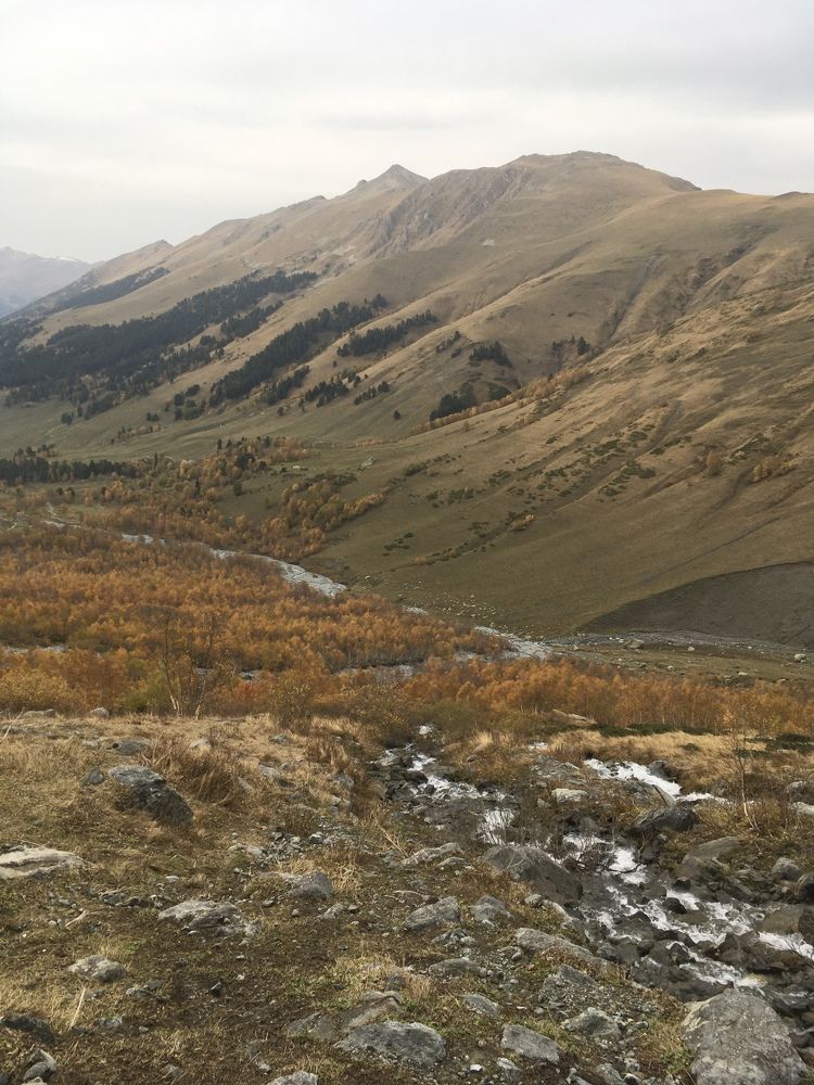 Фотография автора Ксения