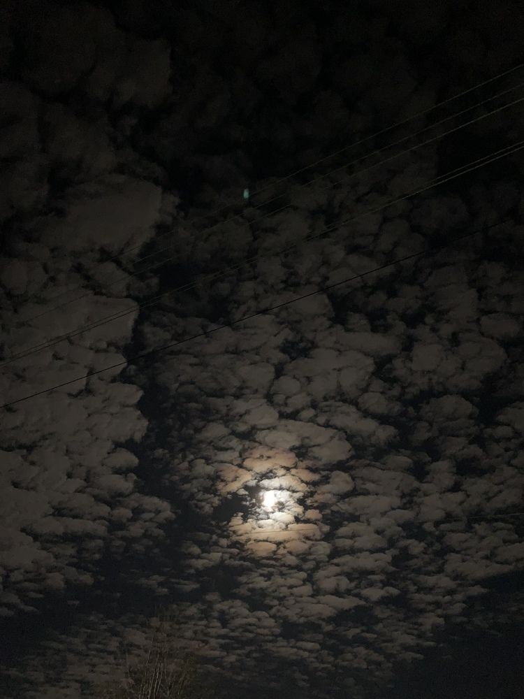 Photograph by Светлана Курганова