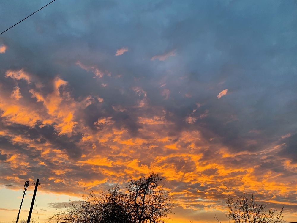 Photograph by Светлана Курганова
