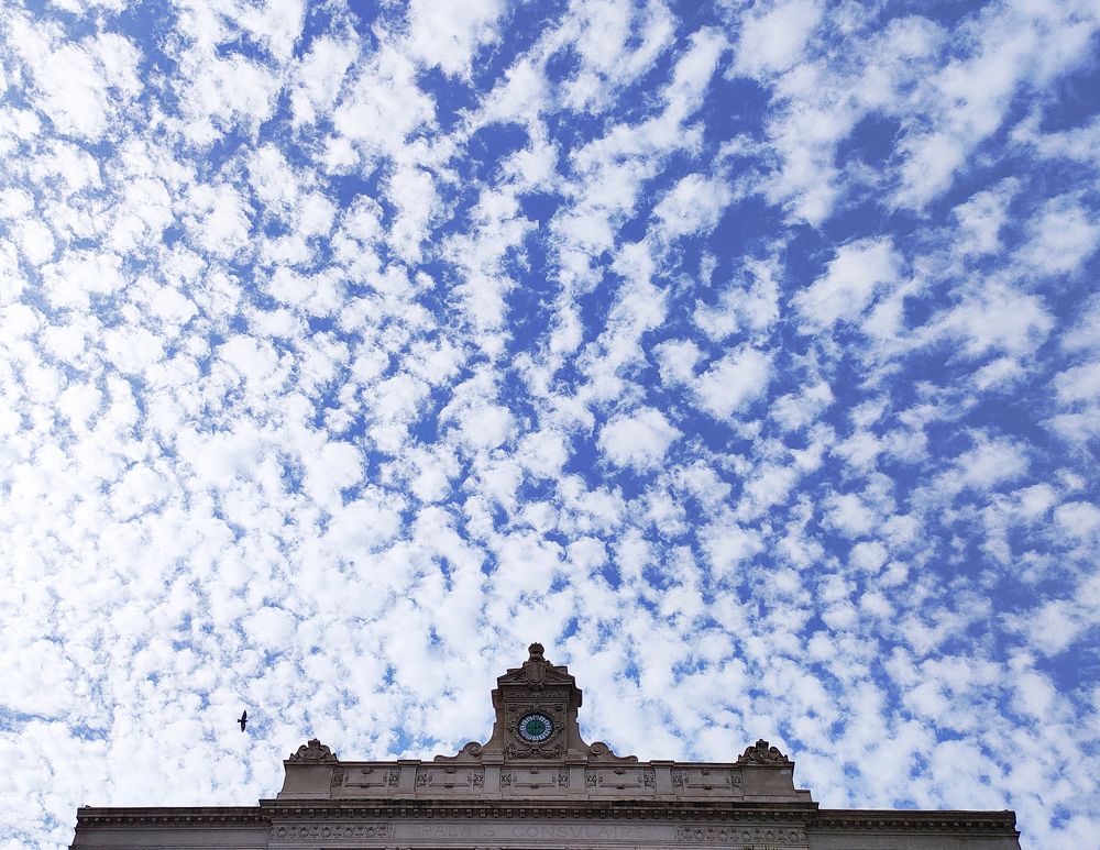 Photograph by Mohamed Kaouche