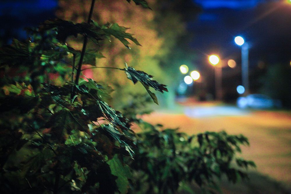 Photograph by Борис Назаров