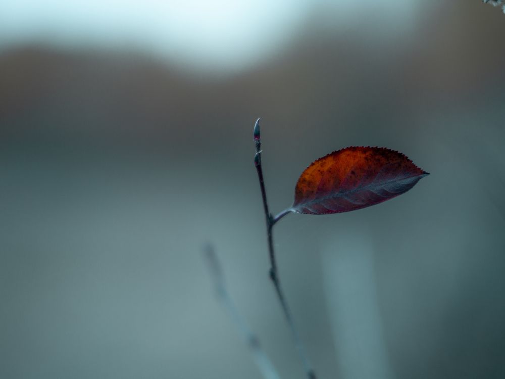 Photograph by Fadeeva Ekaterina