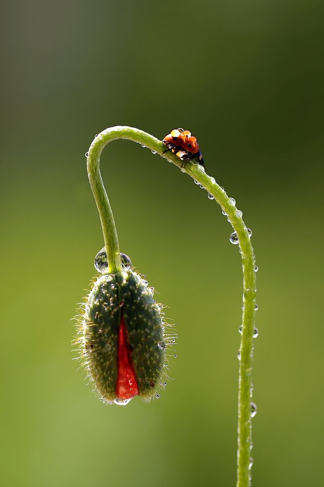 Photograph by Esin Sağır