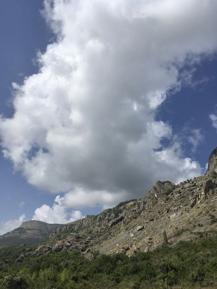 Фотография автора Ксения