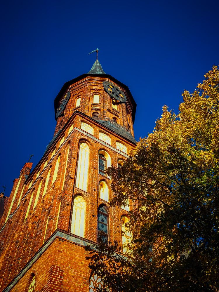 Кафедральный собор