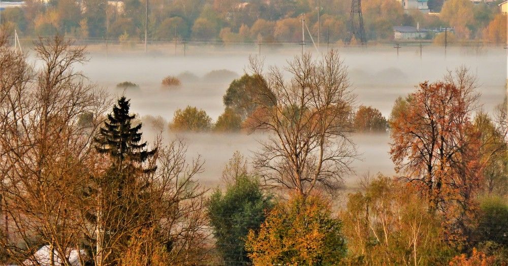 Photograph by НАТАЛЬЯ РОДИНА