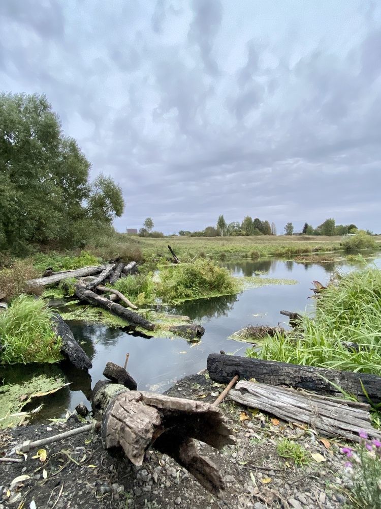 Photograph by Анна Лепихина