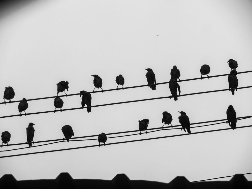 Photograph by Susmita Paul