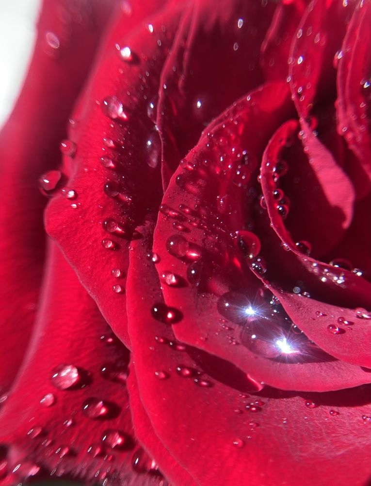 Photograph by Елена