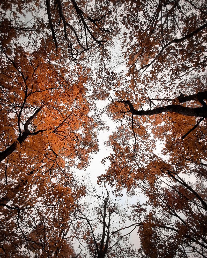 Photograph by Mobigraf