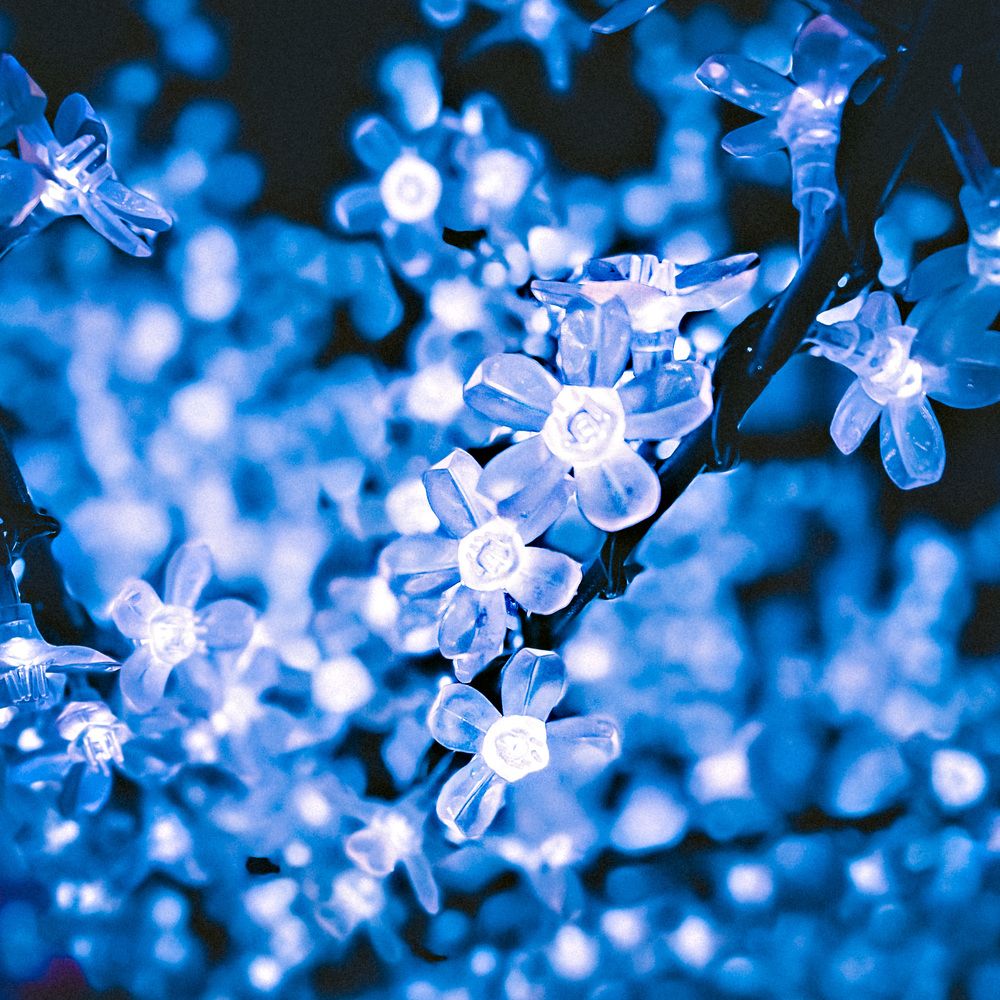 Photograph by Belen Medina de la Campa