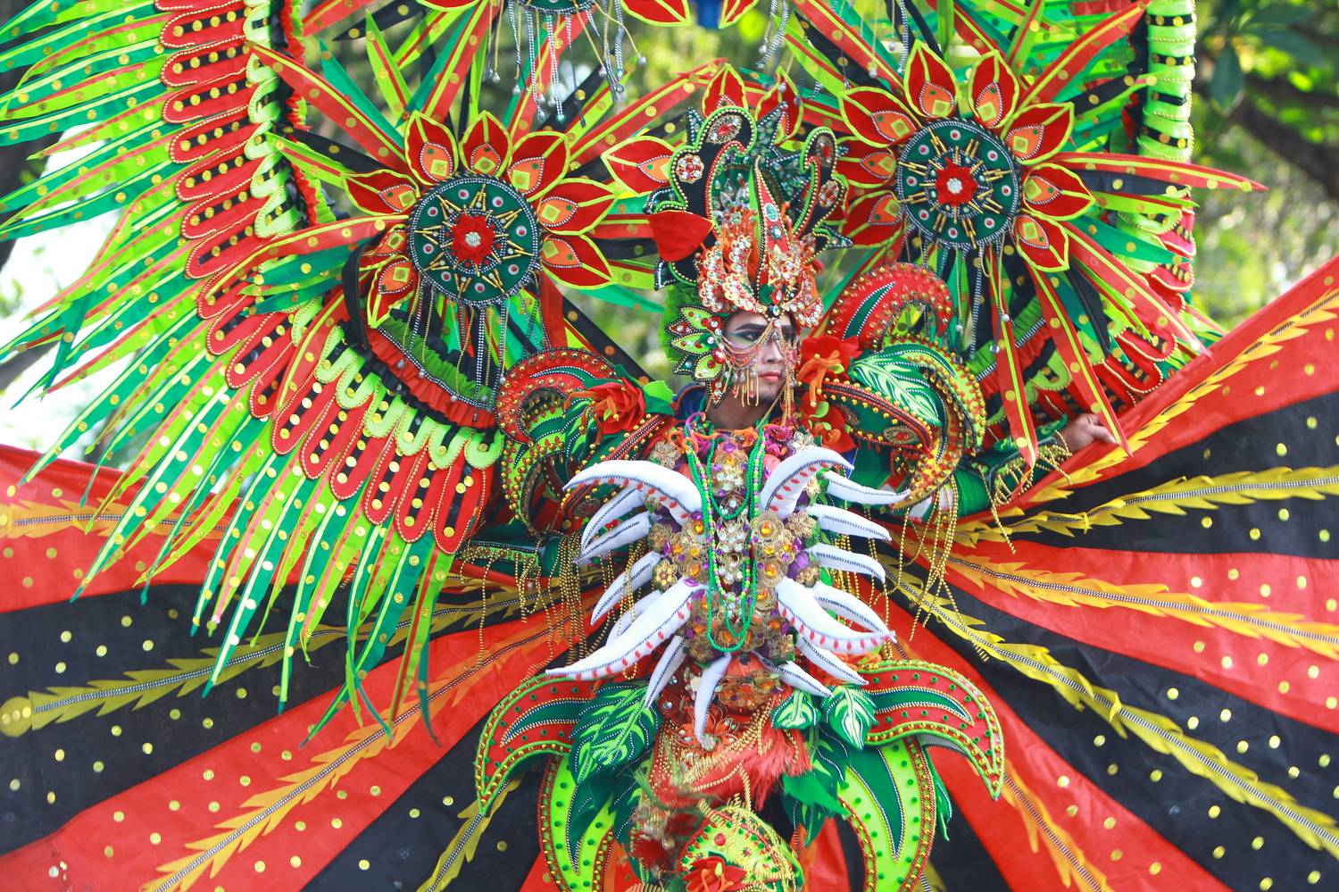 Фотография #8181667