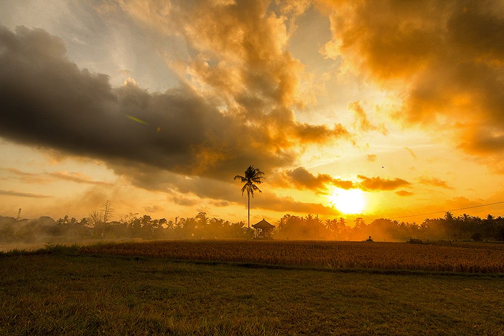 Photograph by dewa putra