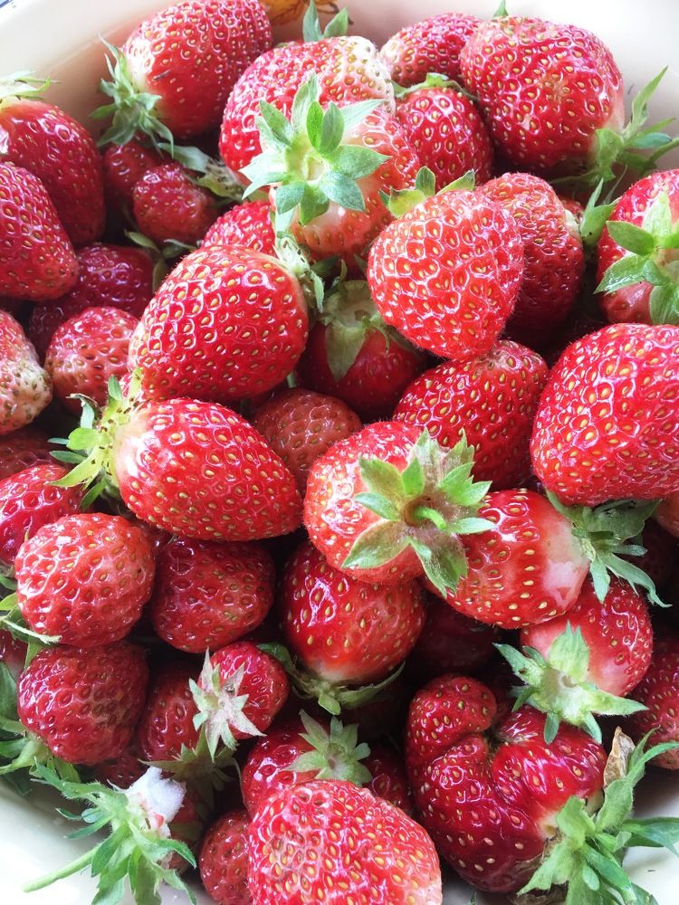 Photograph by Андрей Елькин