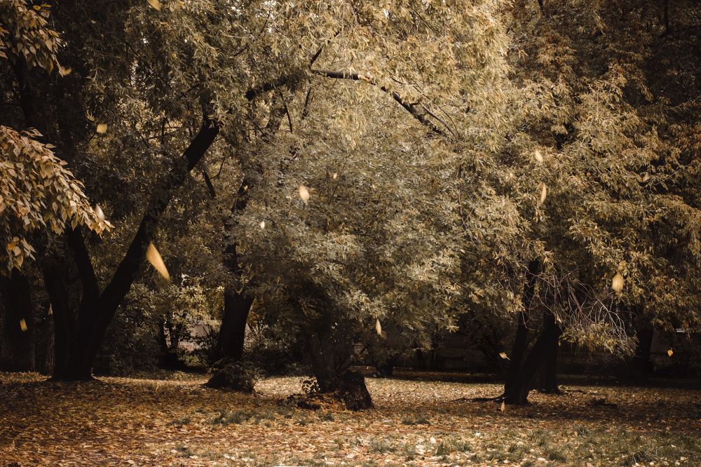 Photograph by Ирина Стоянкова