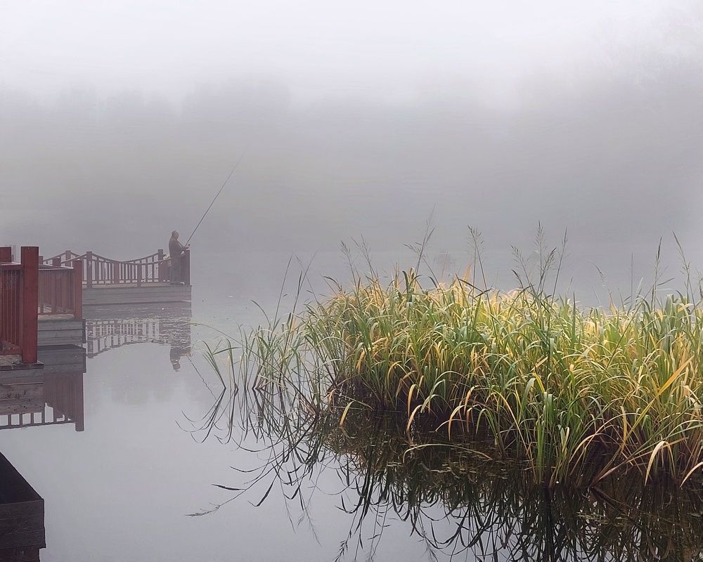 Photograph by Сергей Малашкин