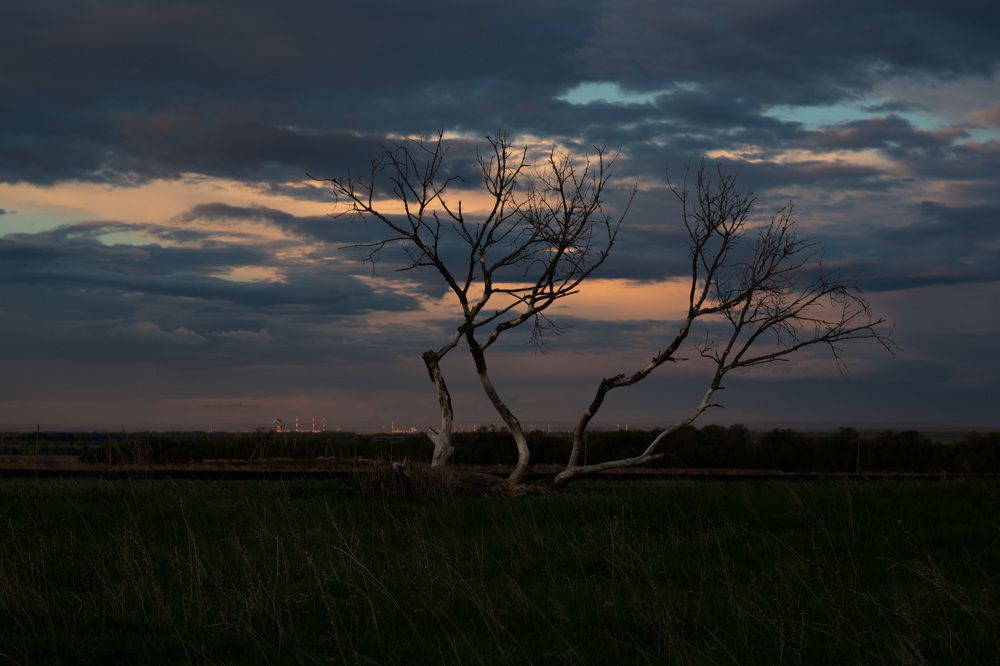 Photograph by Наталия Брянцева