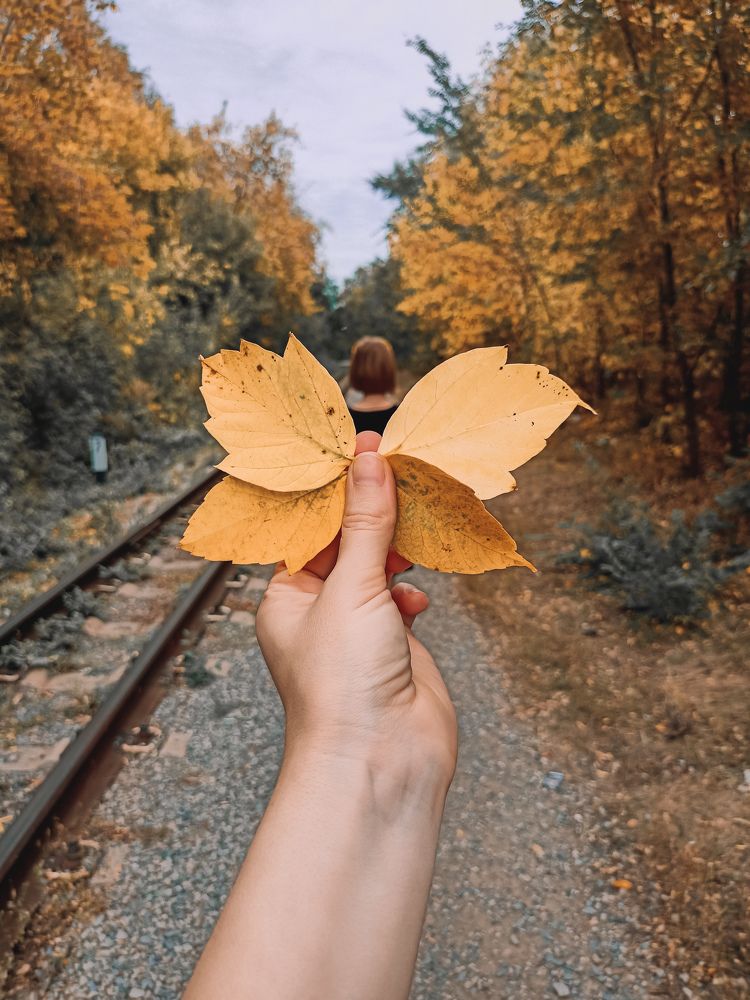 Фотография автора Татьяна Шахова