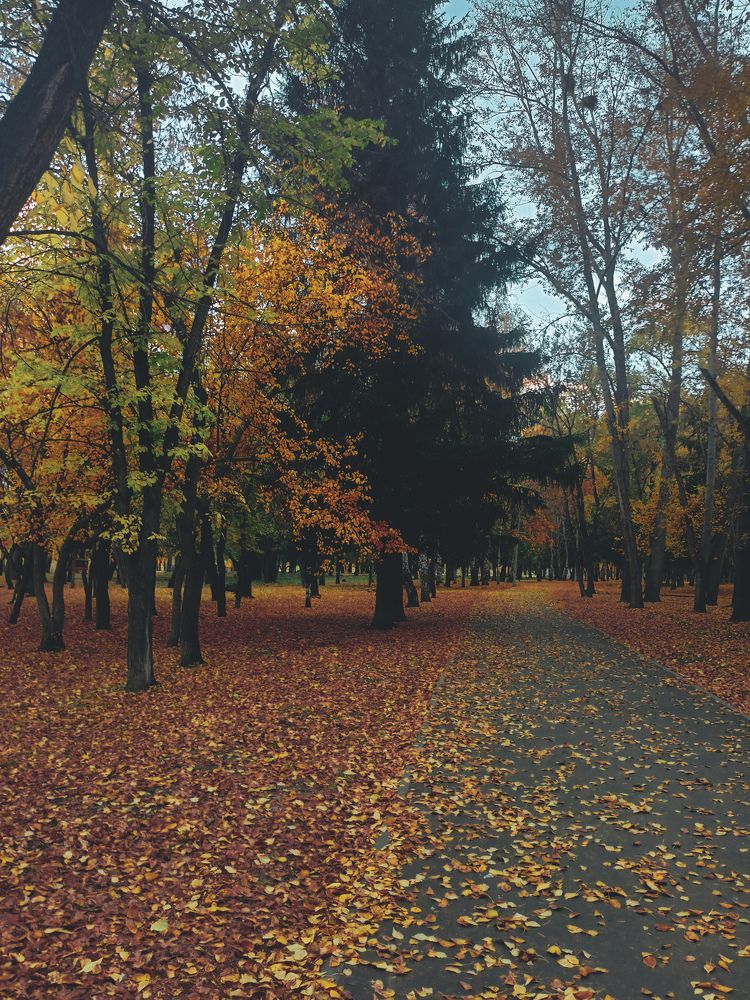 Фотография автора Татьяна Шахова