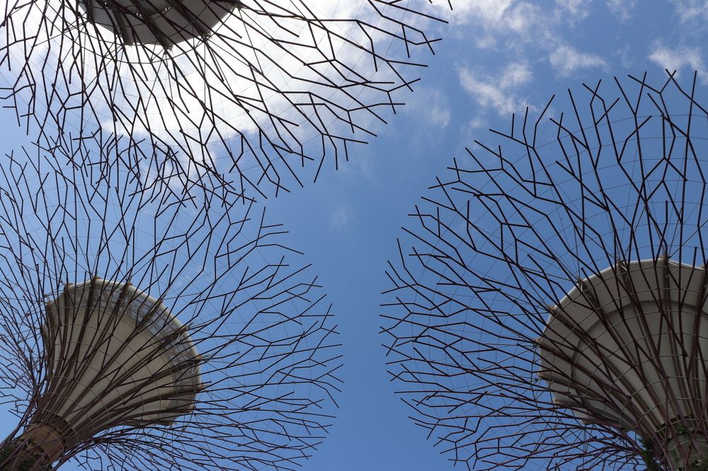 Фотография автора Sonali Mahakal