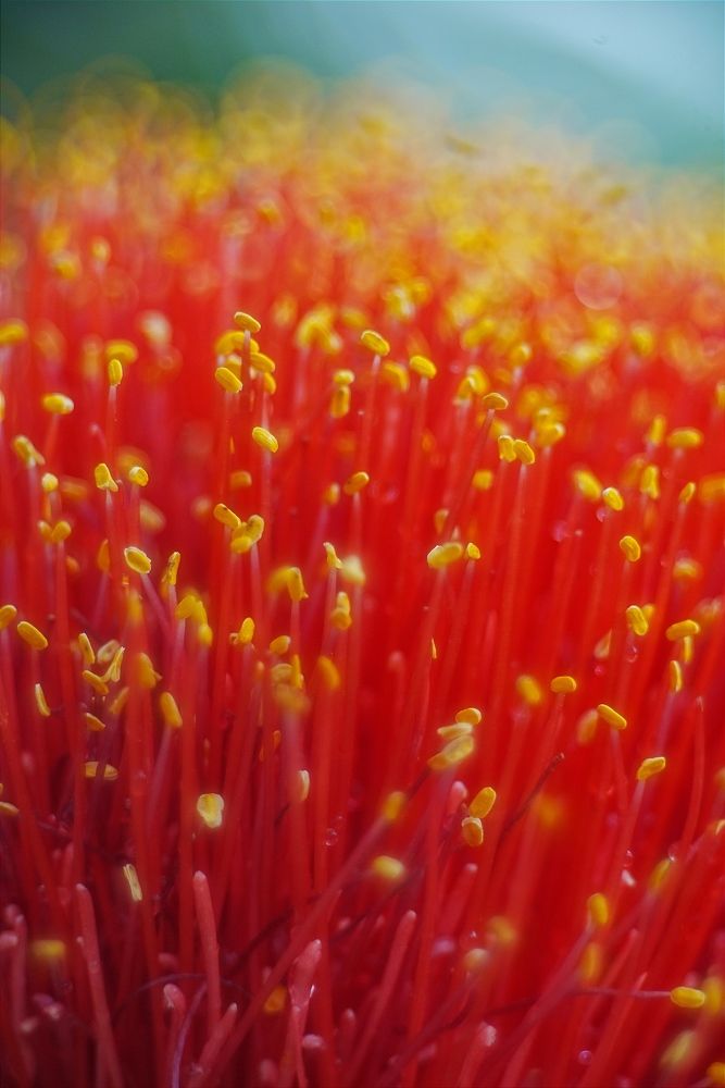 Photograph by Andrew Becker