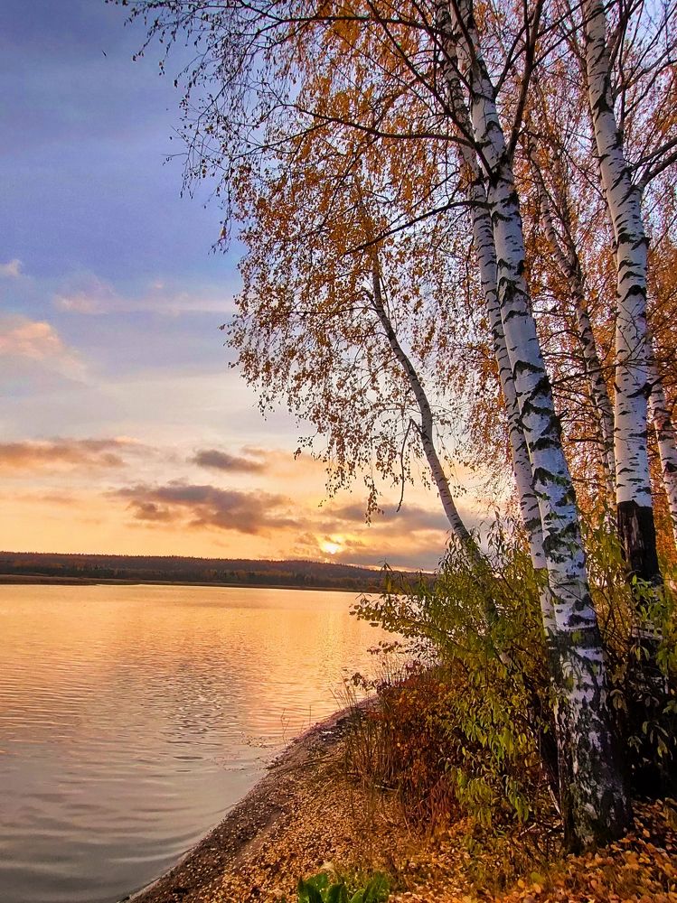 Оранжевая река