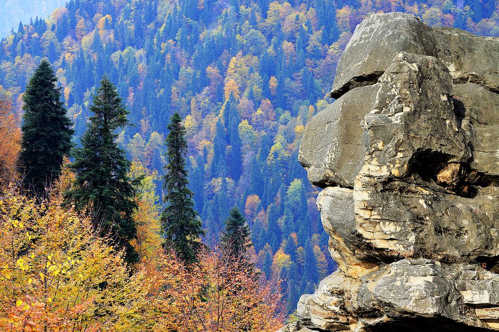 ОСЕНЬ В АБХАЗИИ