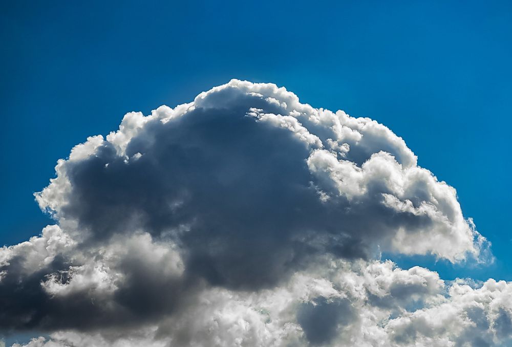 Фотография автора Mohammad Mohseni