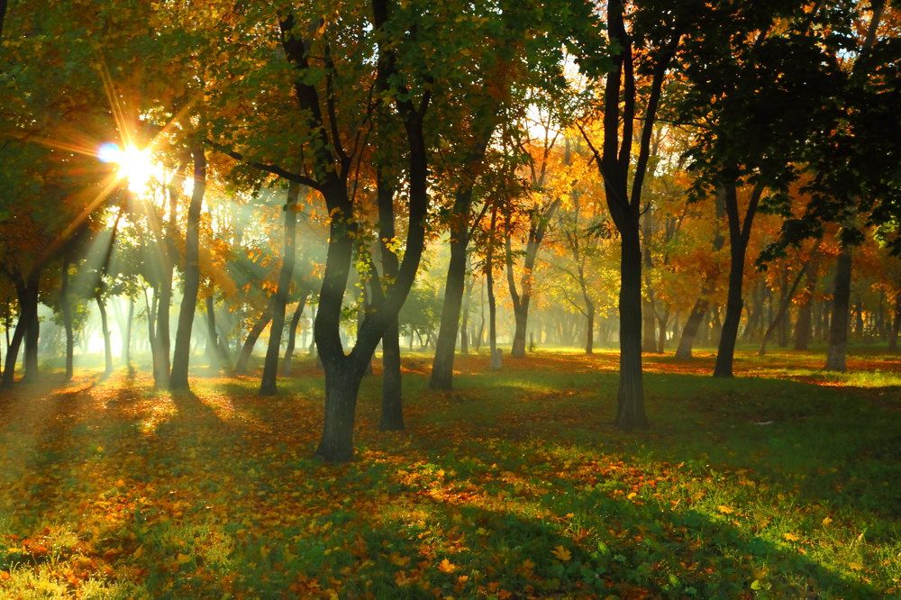 Фотография автора Андрей Христофоров