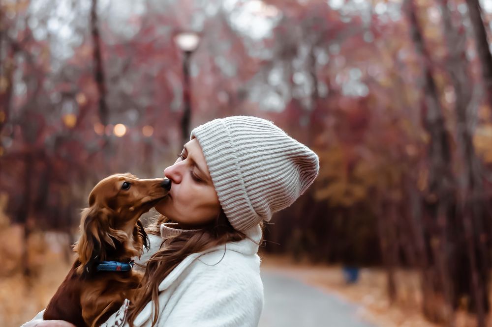 Photograph by Анна Бауэр-Корнева